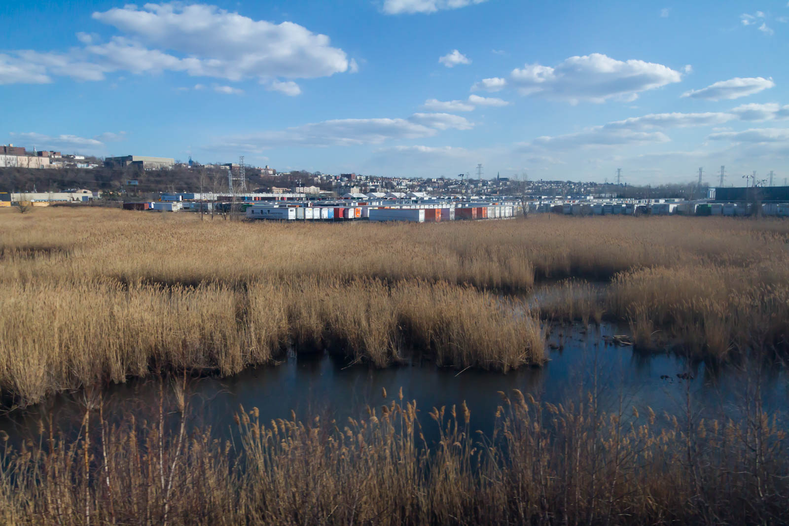 Morning in the Meadowlands