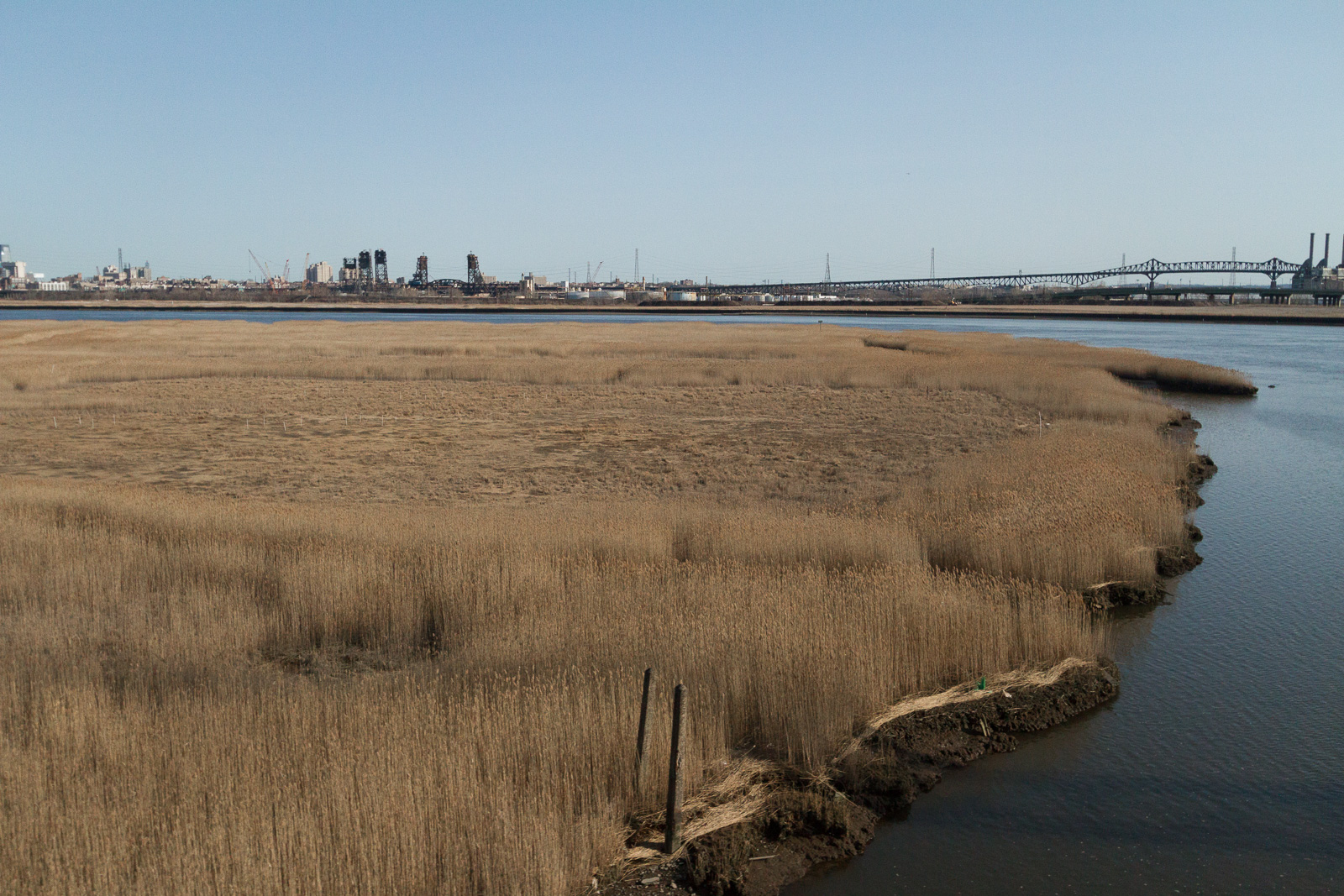Afternoon in the Meadowlands